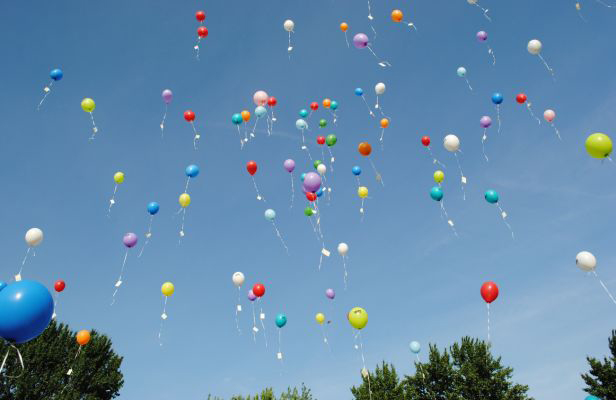 В Минприроды советуют не пускать в небо воздушные шары на выпускных. Это может привести к гибели животных